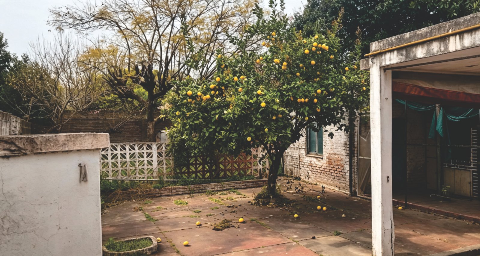 Casa en calle 394 N°2170